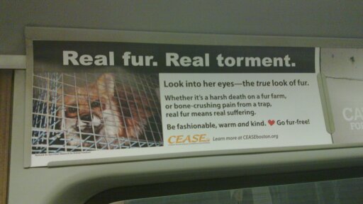 real-fur-real-torment