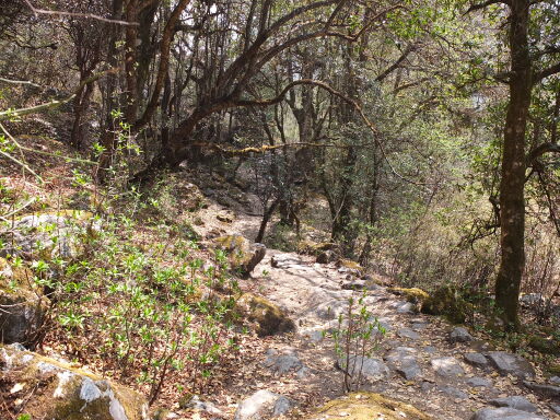 DSCF0093